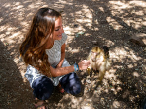 Travel girl feeding wild monkeys in Morocco