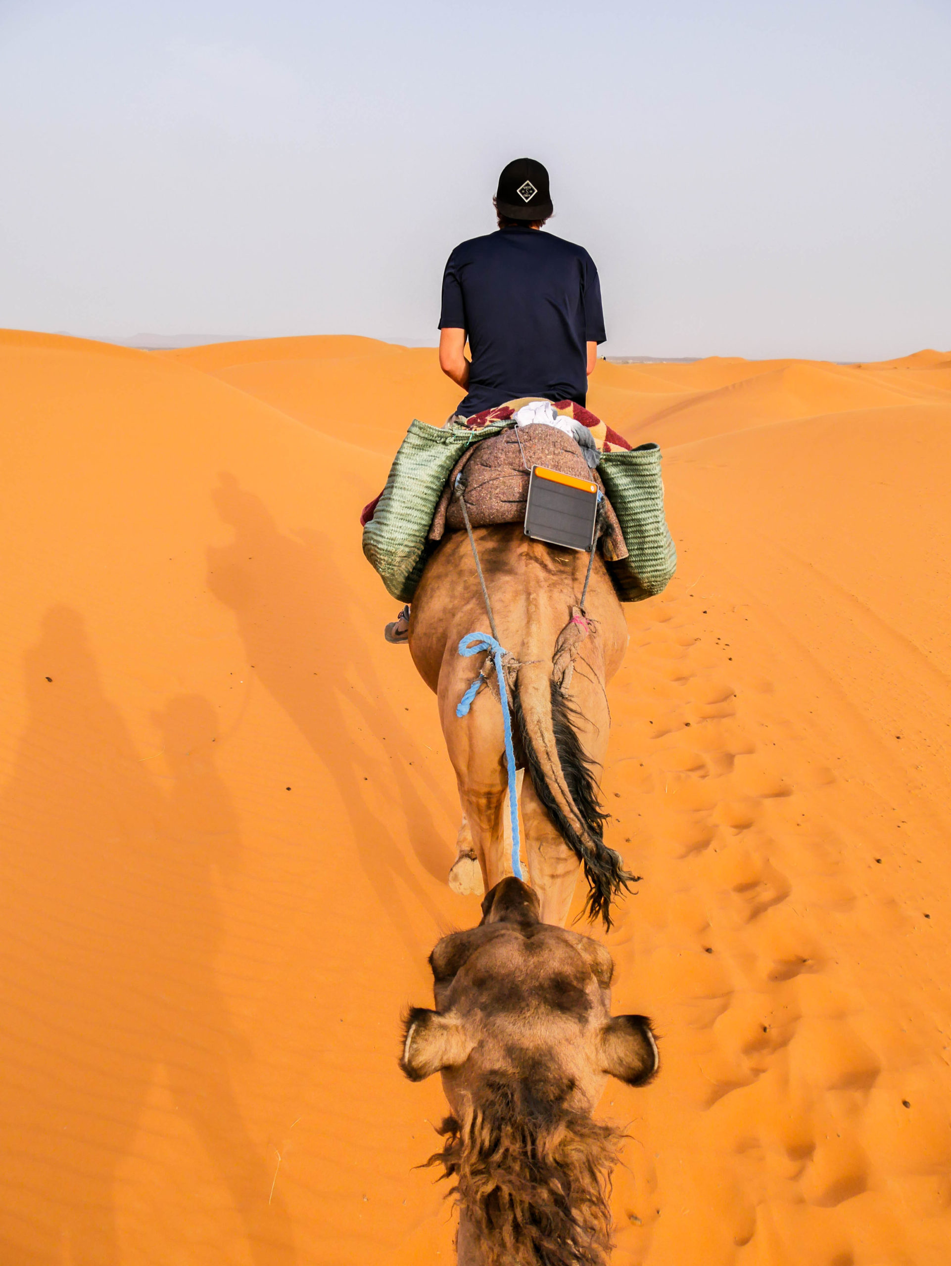 Biolite Solar Panel charging on a camel in the Sahara Desert